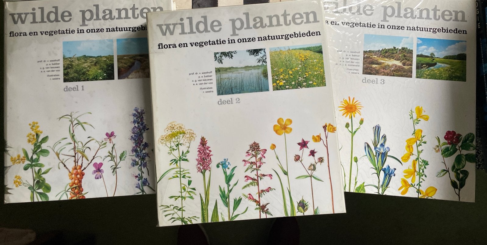 Wilde Planten: Flora en Vegetatie in Onze Natuurgebieden, Boeken, Ophalen of Verzenden, Zo goed als nieuw, Bloemen, Planten en Bomen