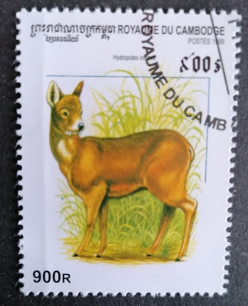 CAMBODJA (Kampuchea) - hert 1999, Ophalen of Verzenden, Gestempeld, Zuidoost-Azië