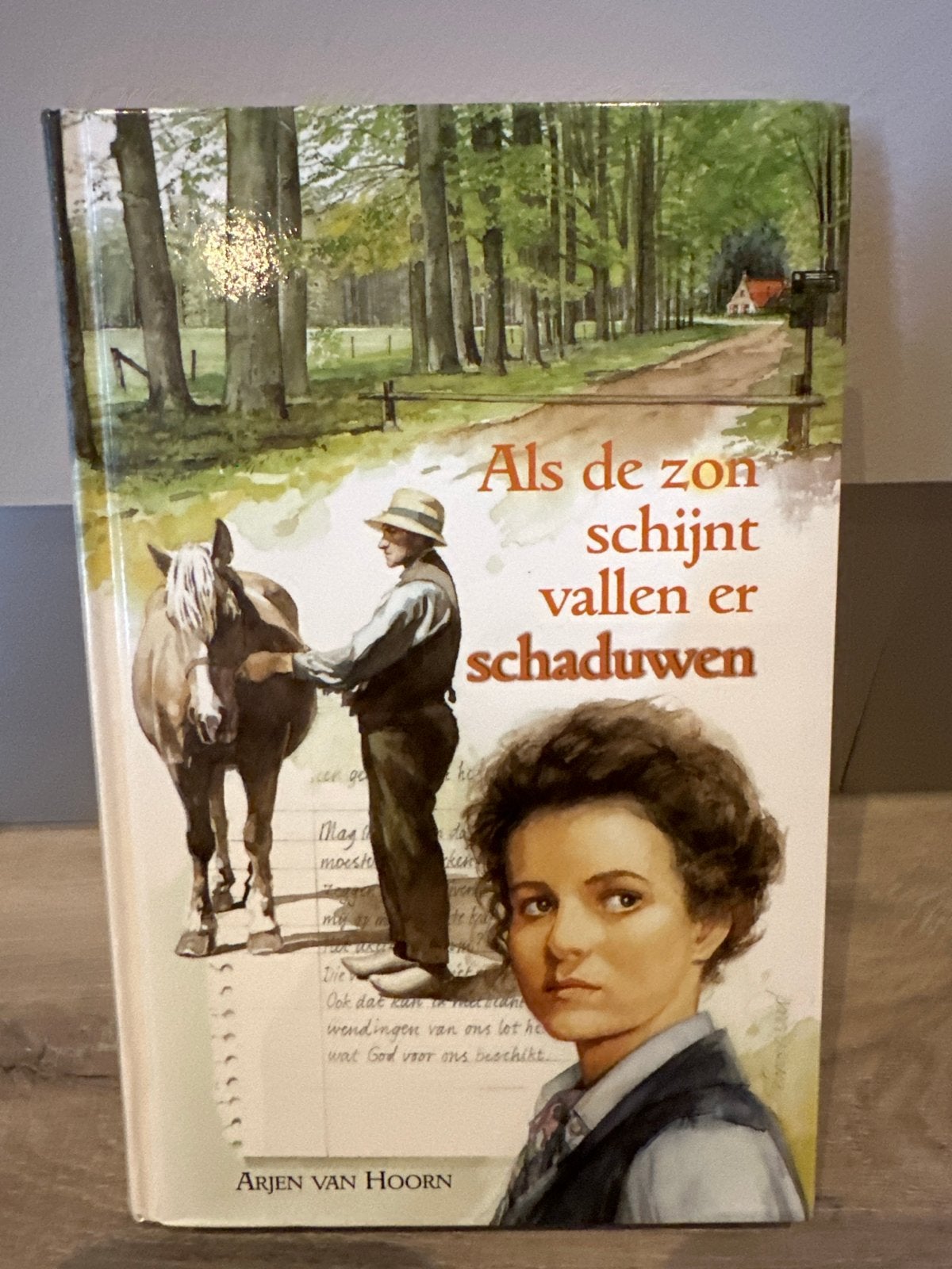 Als de zon schijnt vallen er schaduwen - Arjen van Hoorn, Boeken, Ophalen of Verzenden, Gelezen, Nederland