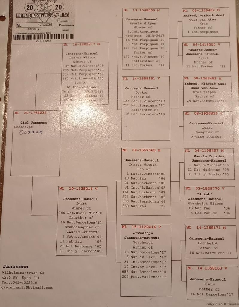 Koppel fond duiven, Ophalen of Verzenden, Maandkalender