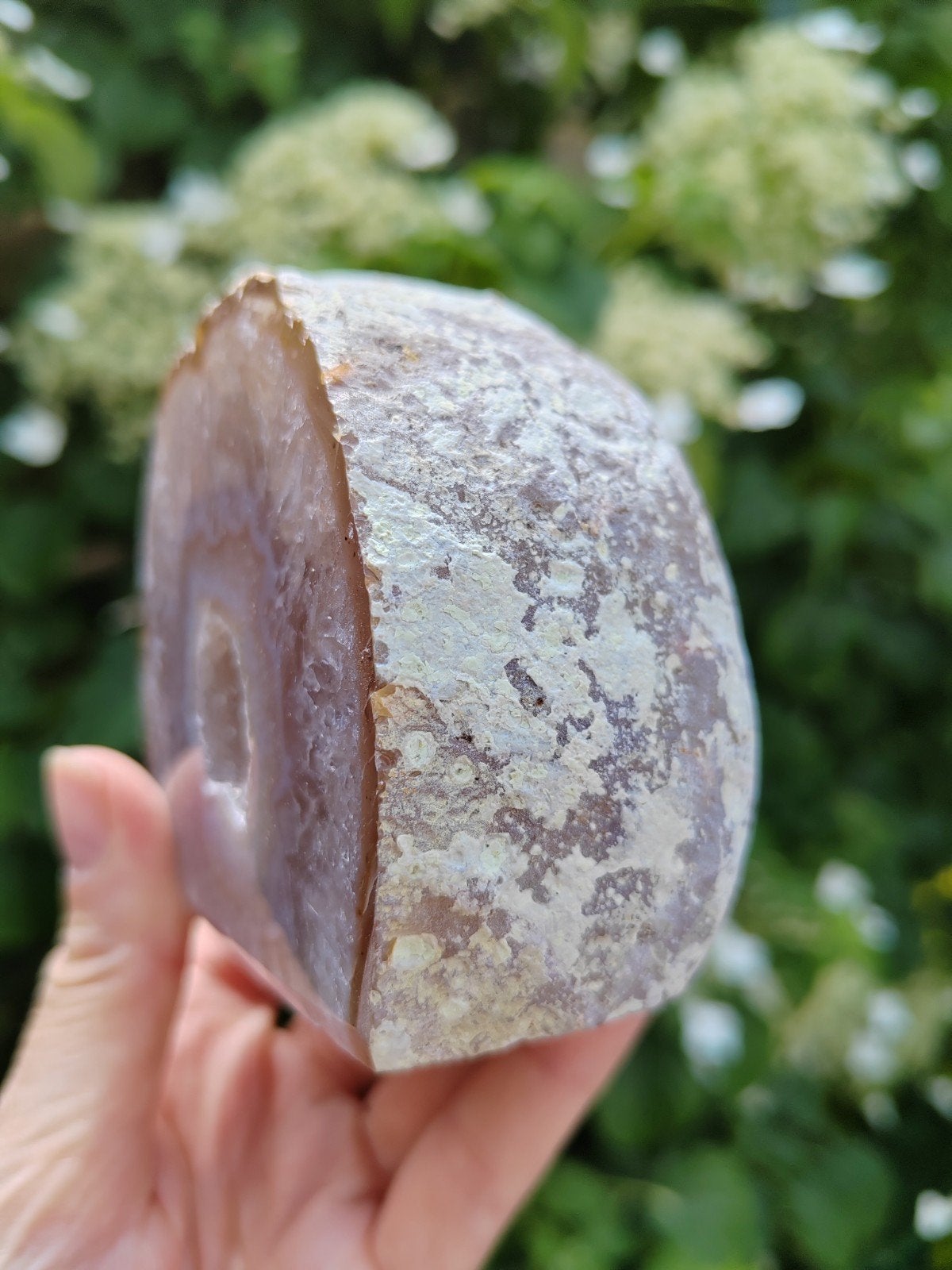 Agaat geode, Ophalen of Verzenden, Mineraal