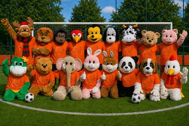 huur een oranje leeuw of kostuum met oranje shirt 25 euro, Ophalen of Verzenden, Zo goed als nieuw, Oranje of Koningsdag