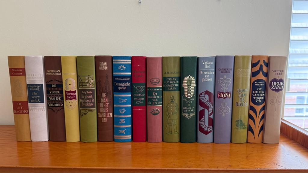 Collectie diverse romans - 16 boeken, Boeken, Ophalen, Gelezen, Nederland
