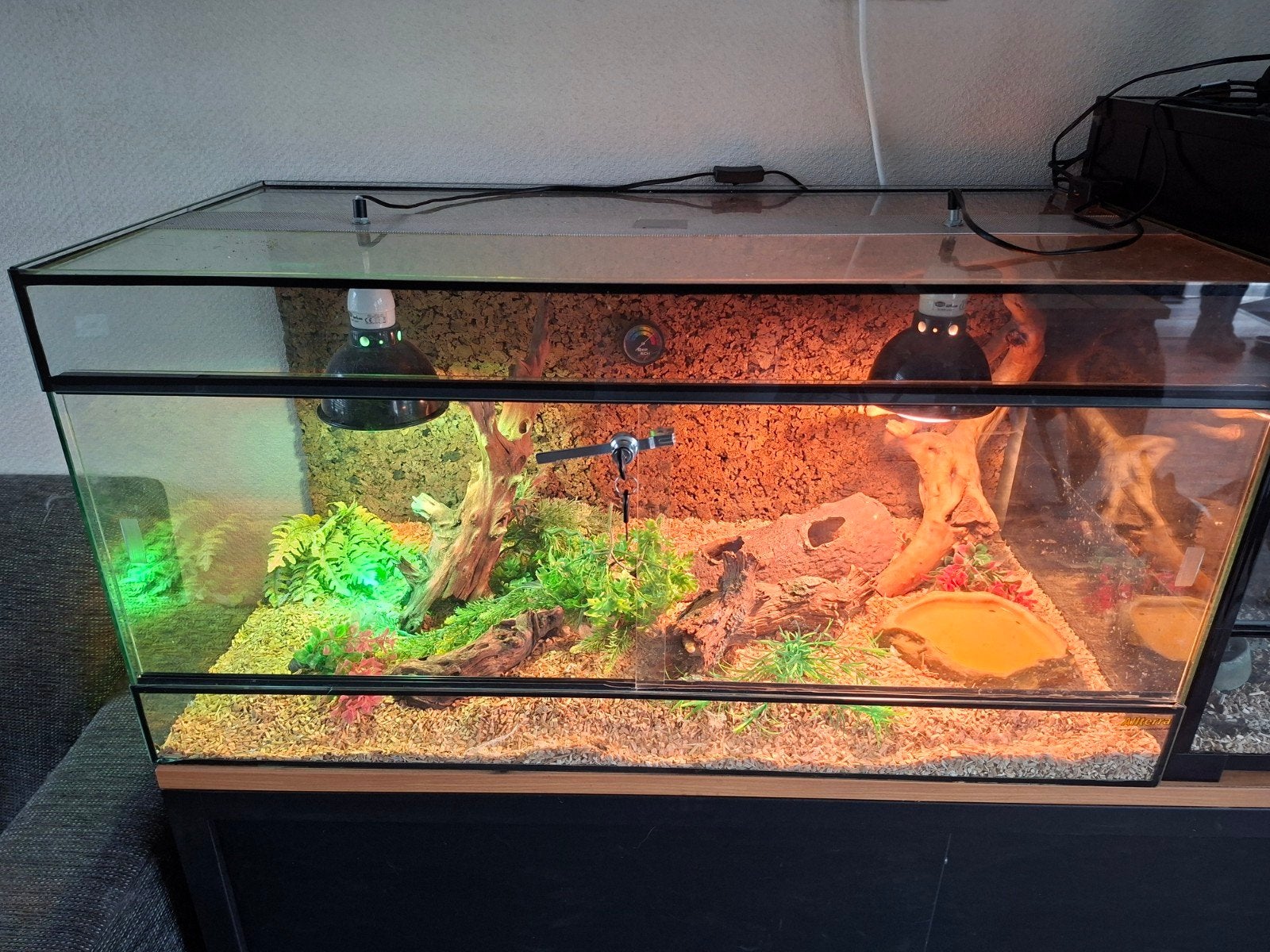 2 terrariums en 3 rattenslangen, Dieren en Toebehoren, Reptielen en Amfibieën, 0 tot 2 jaar