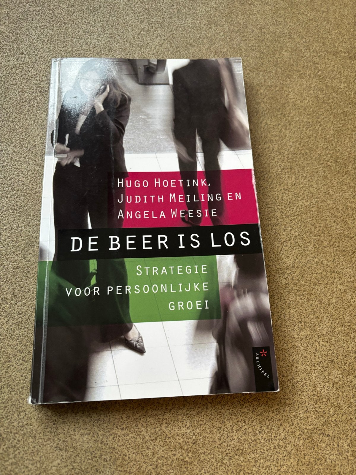 De Beer is Los: Strategie voor Persoonlijke Groei, Ophalen of Verzenden, Gelezen