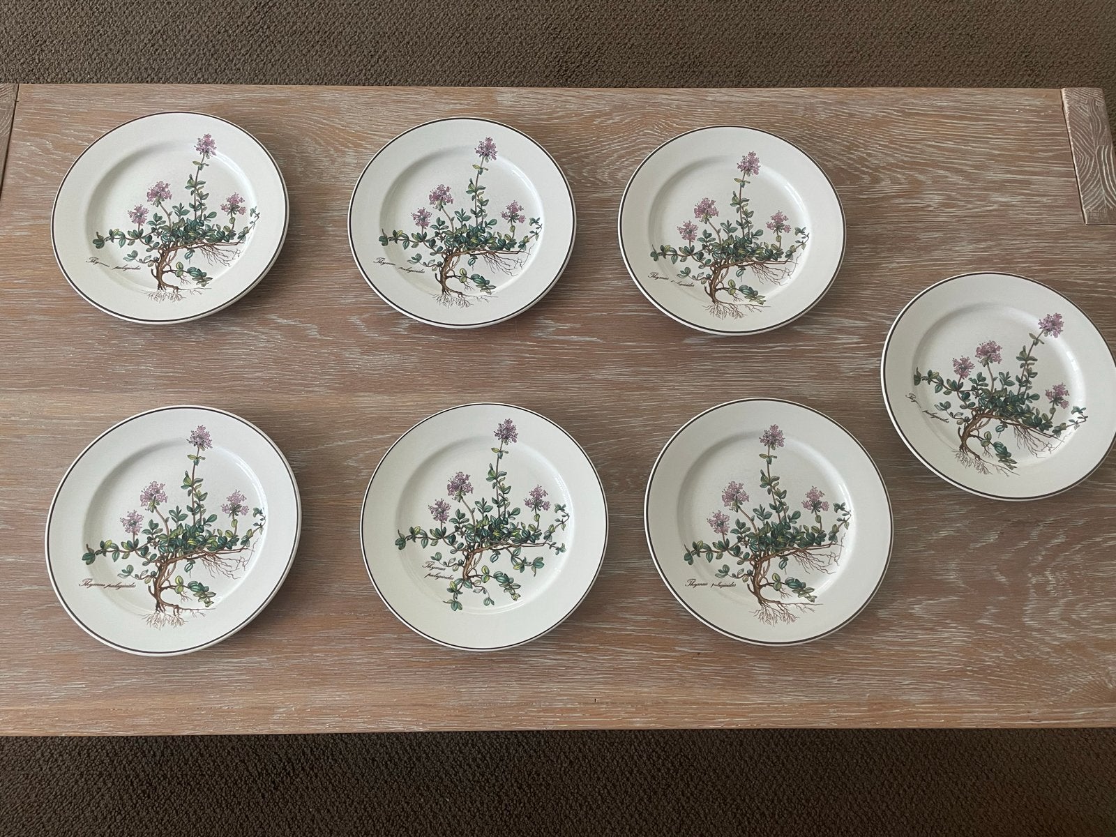 7x Villeroy & Boch Botanica ontbijtborden Thymas Pulegioides, Gebruikt, Villeroy & Boch, Ophalen of Verzenden, Bord(en)