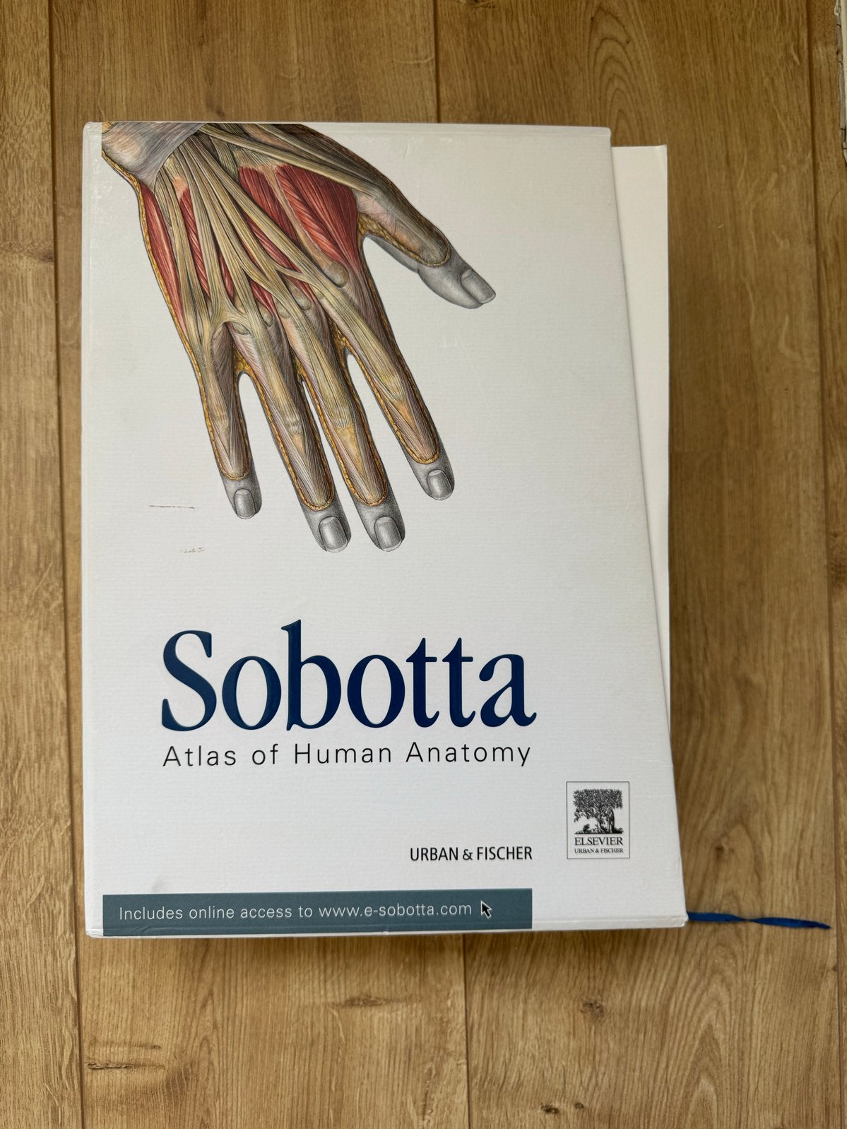 Sobotta Atlas Anatomie (3-delig), Boeken, Studieboeken en Cursussen, Ophalen of Verzenden, Beta, Zo goed als nieuw, WO