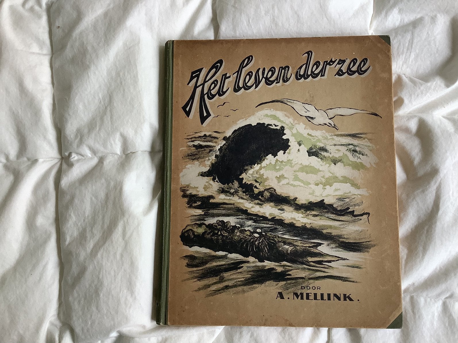 Het leven der Zee, Ophalen of Verzenden, Zo goed als nieuw