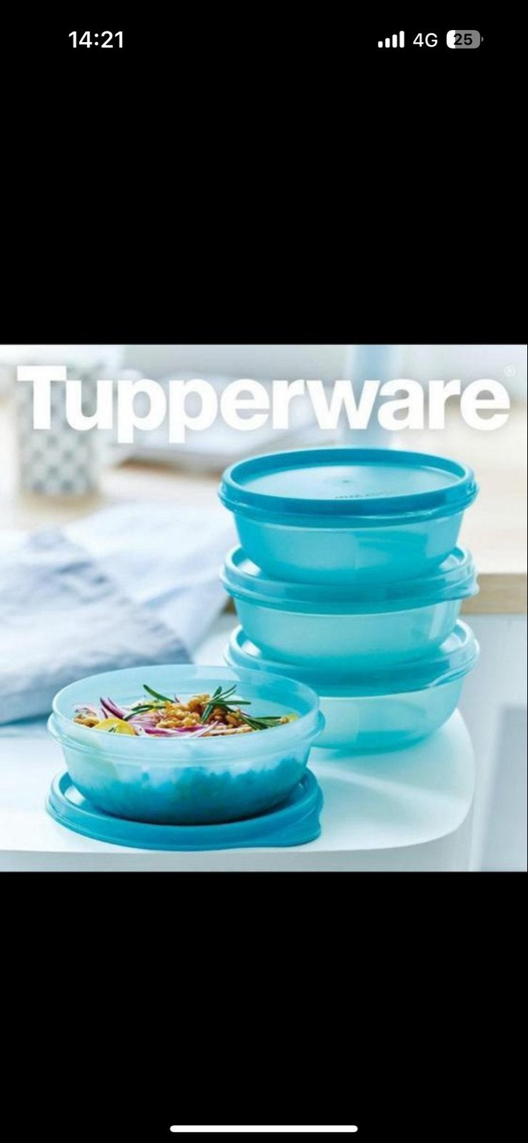 Tupperware Ruimteschaaltjes Set - 4x 300ml, Bewaardoos, Blauw, Nieuw, Luchtdicht