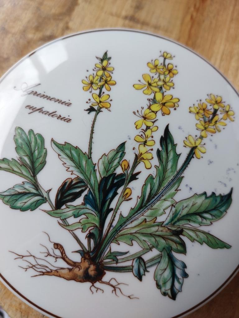 Vintage porceleine doosje Botanica Vileroy en Boch, Ophalen of Verzenden