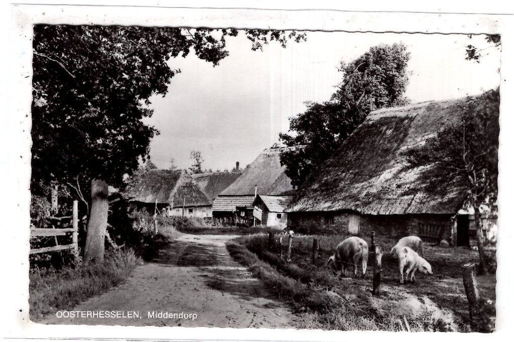 Oosterhesselen  het Middendorp, Verzenden, Gelopen, Drenthe