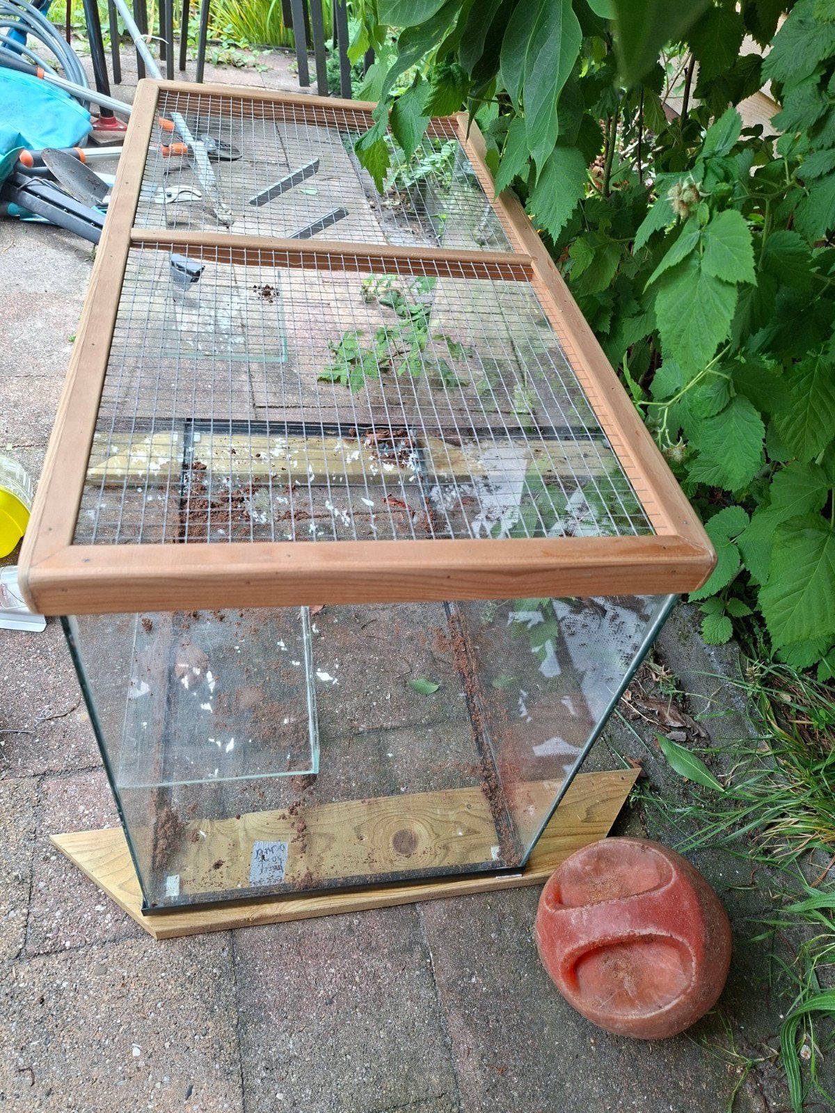 Glazen hamsterkooi met toebehoren, Ophalen of Verzenden, 75 tot 110 cm, Kooi, Minder dan 60 cm