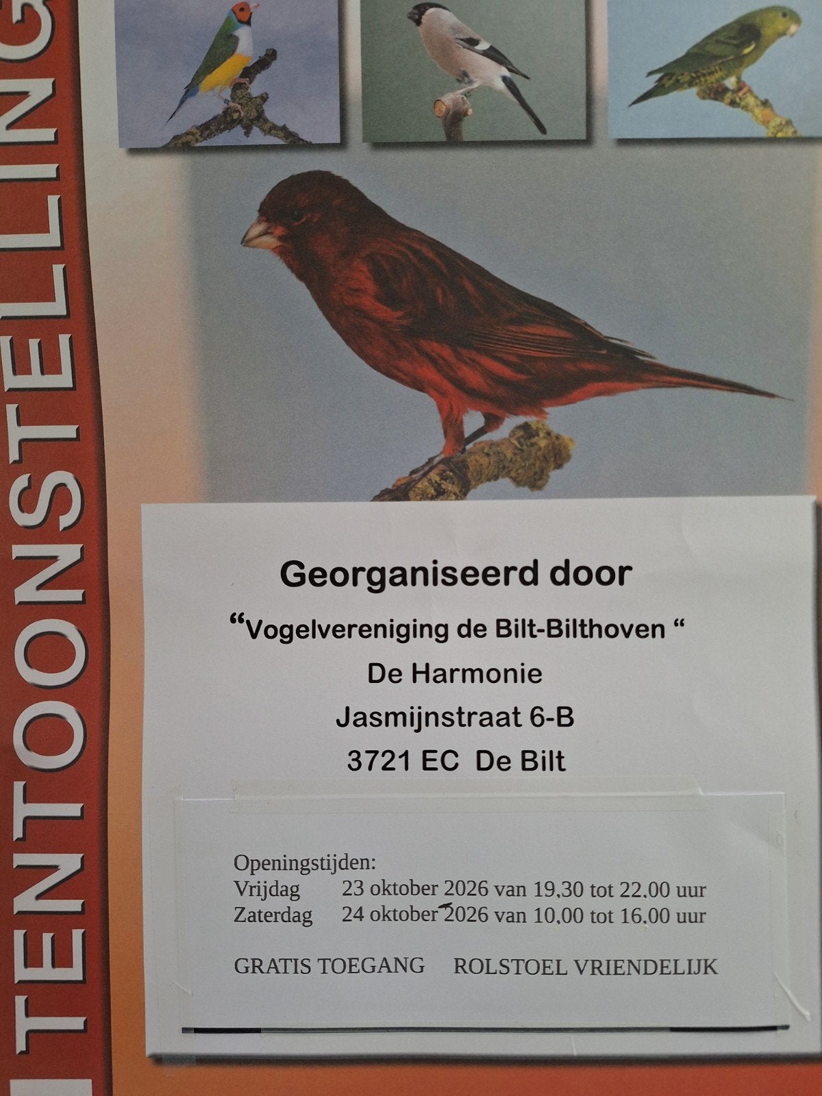 Vogelshow