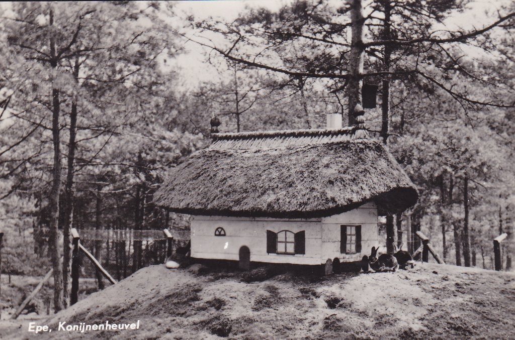 Epe, Konijnenheuvel - Ongelopen, Verzenden, 1960 tot 1980, Ongelopen, Gelderland
