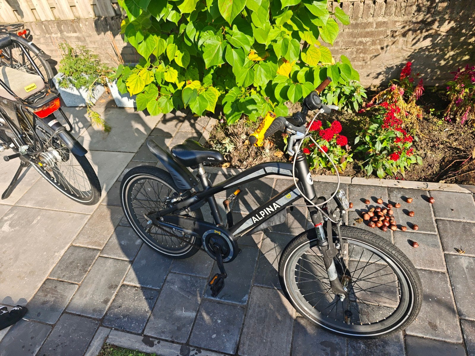 Alpina Trial jongensfiets 20" Space Black, Ophalen