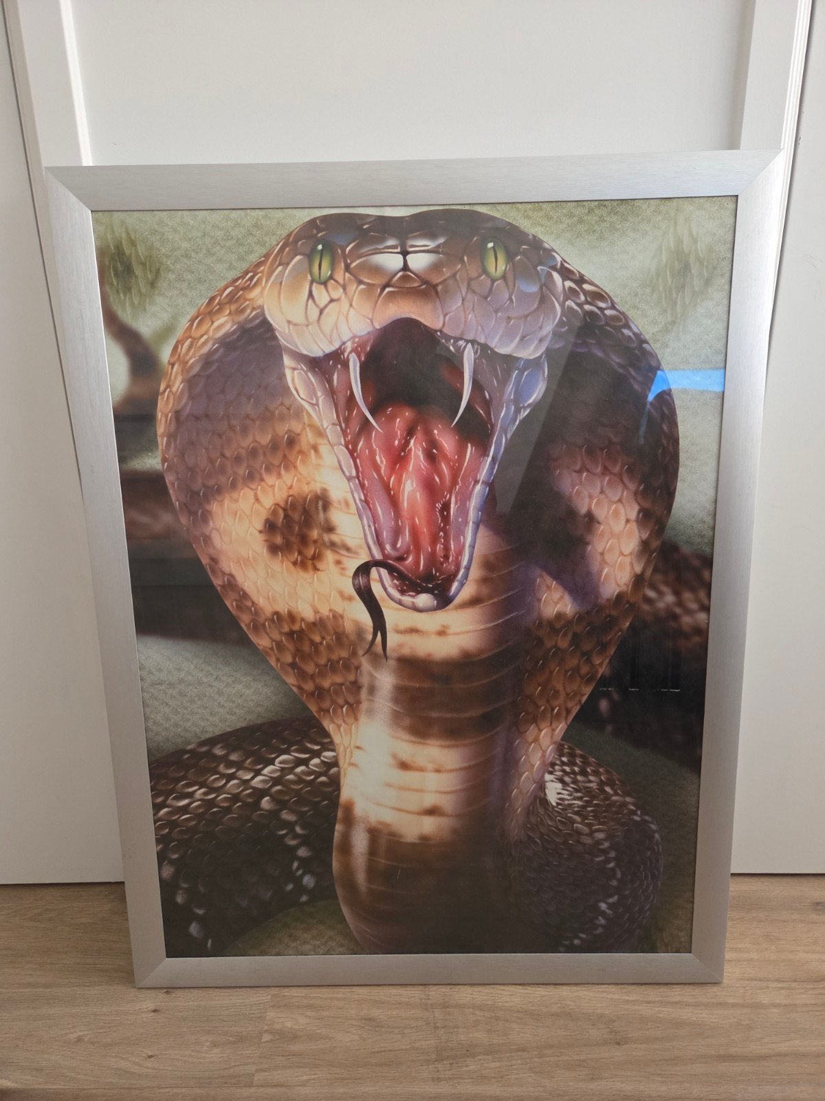 Poster in lijst - Cobra slang - 67x87 cm, Ophalen, Gebruikt, Foto of Poster, 75 – 100