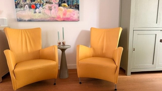 Windy fauteuils, Ophalen, Zo goed als nieuw, 50 tot 75 cm, Leer