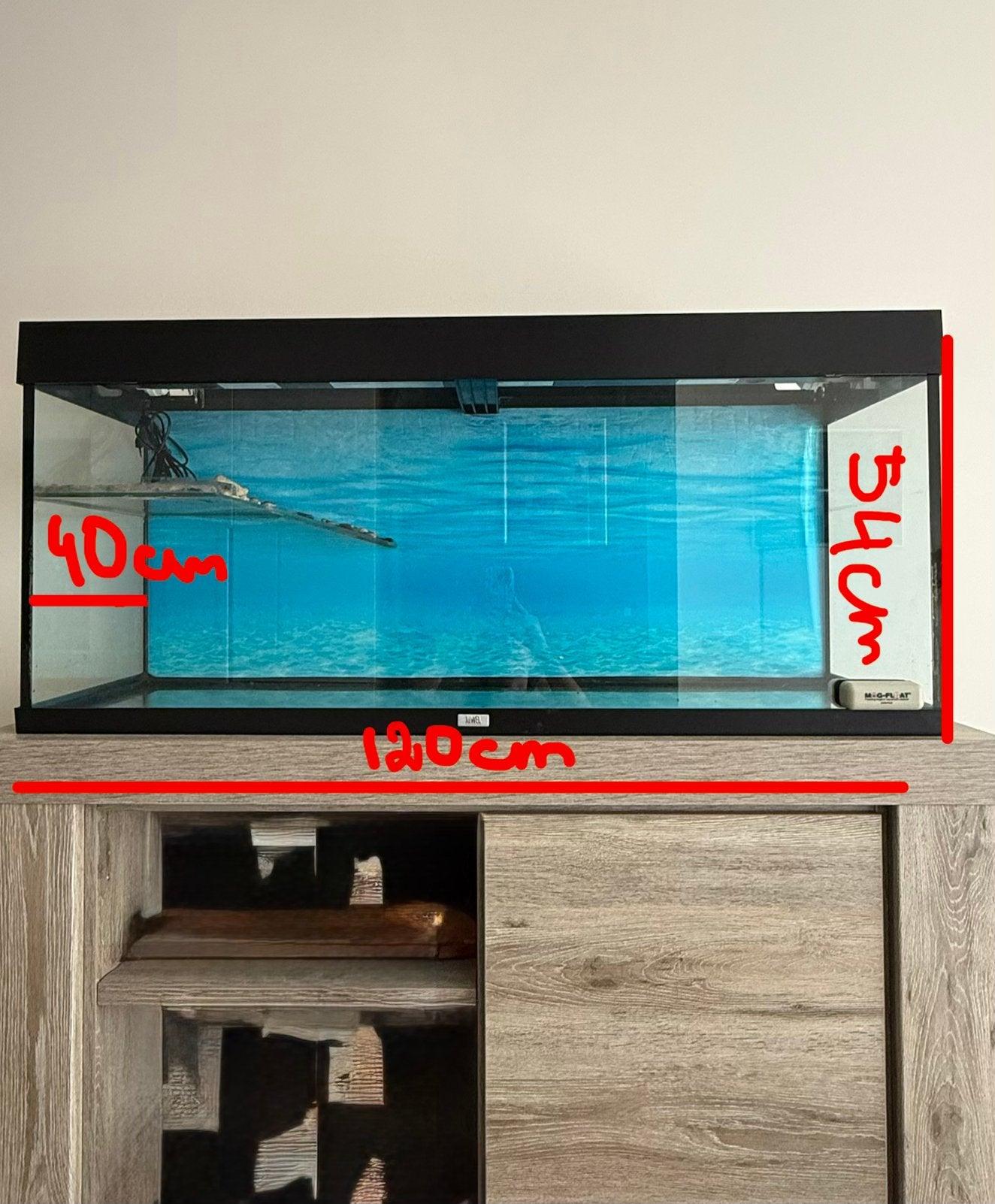Aquarium (200L) + EHEIM Buitenfilter & Toebehoren, Ophalen, Gebruikt, Terrarium of Paludarium