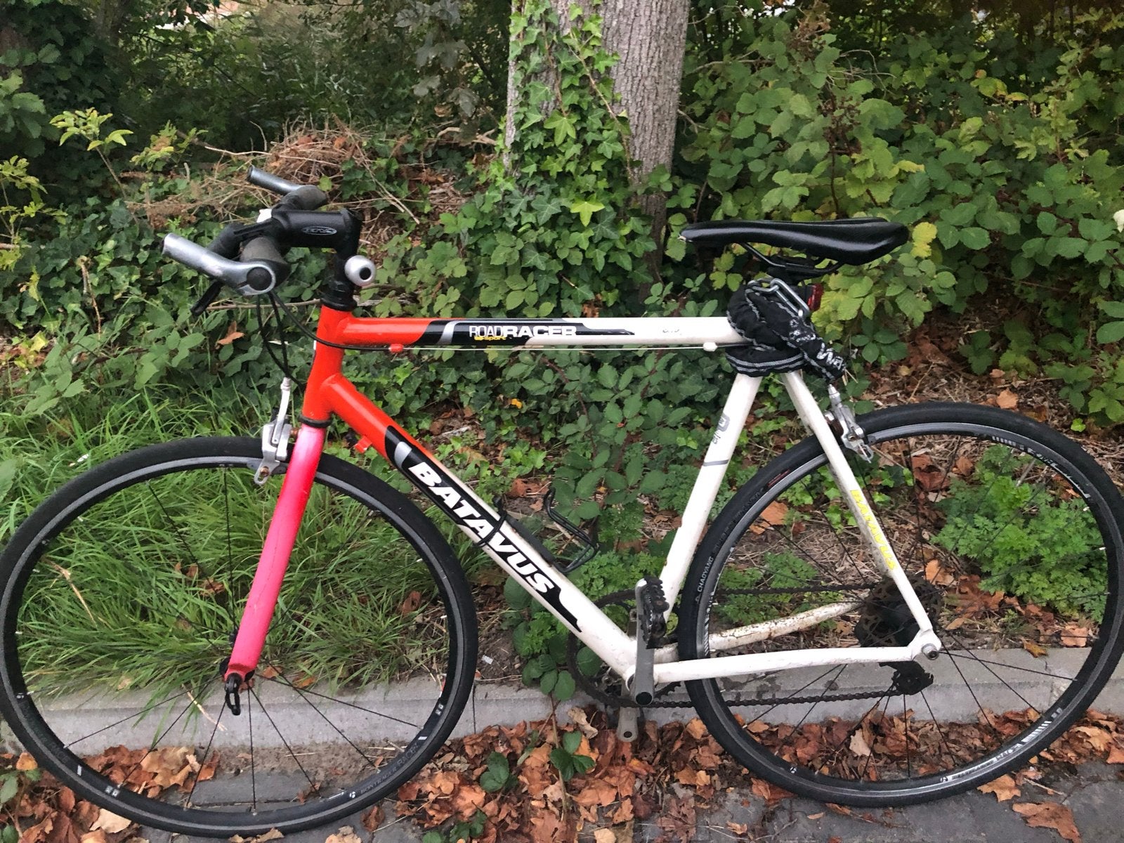 Batavus Roadracer Sports - Geweldige fiets voor serieuze fie, Ophalen of Verzenden, Gebruikt, Velgrem, Batavus
