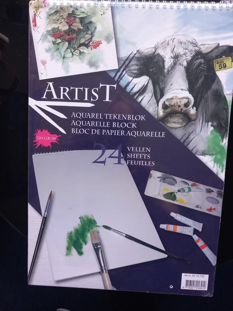 Artist Aquarel Tekenblok - 24 vellen, 220 gr/m², Hobby en Vrije tijd, Schilderen, Ophalen of Verzenden, Nieuw, Overige typen