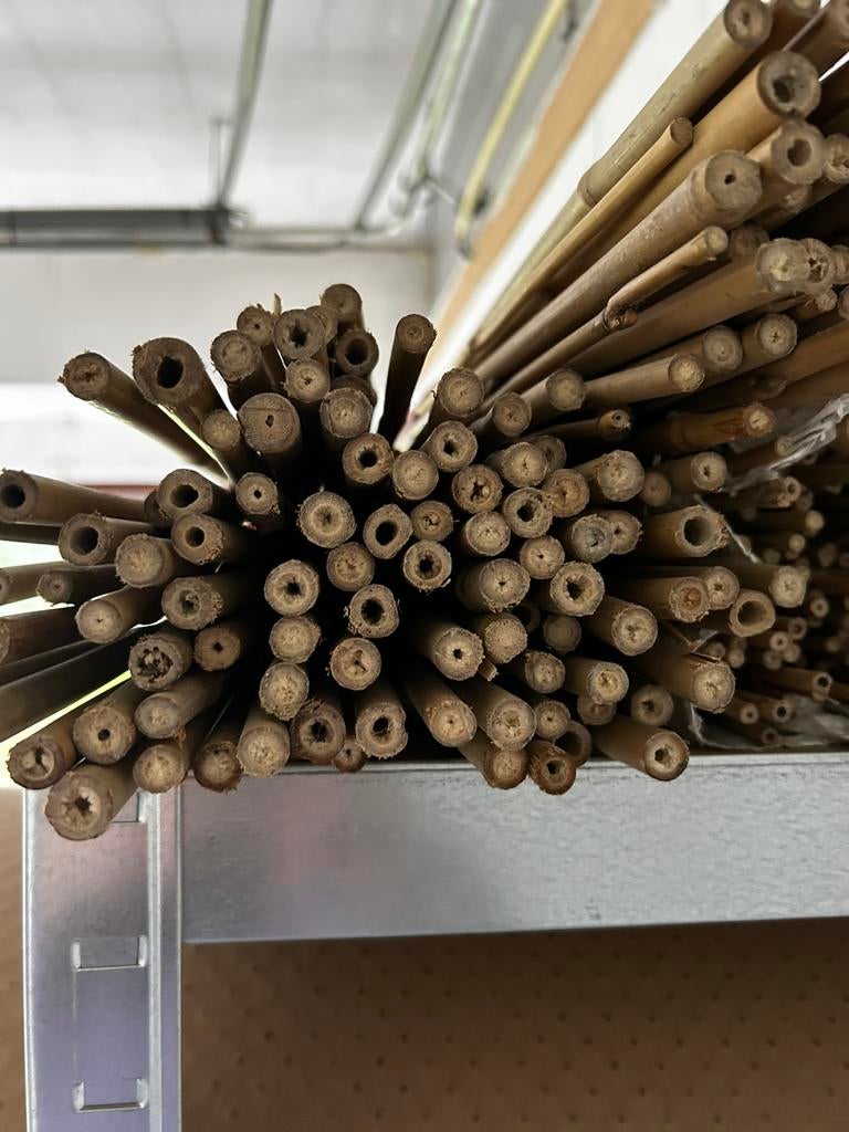 Tonkin / bamboe stokken moestuin 120cm, Ophalen, Minder dan 25 mm, Overige typen, Nieuw