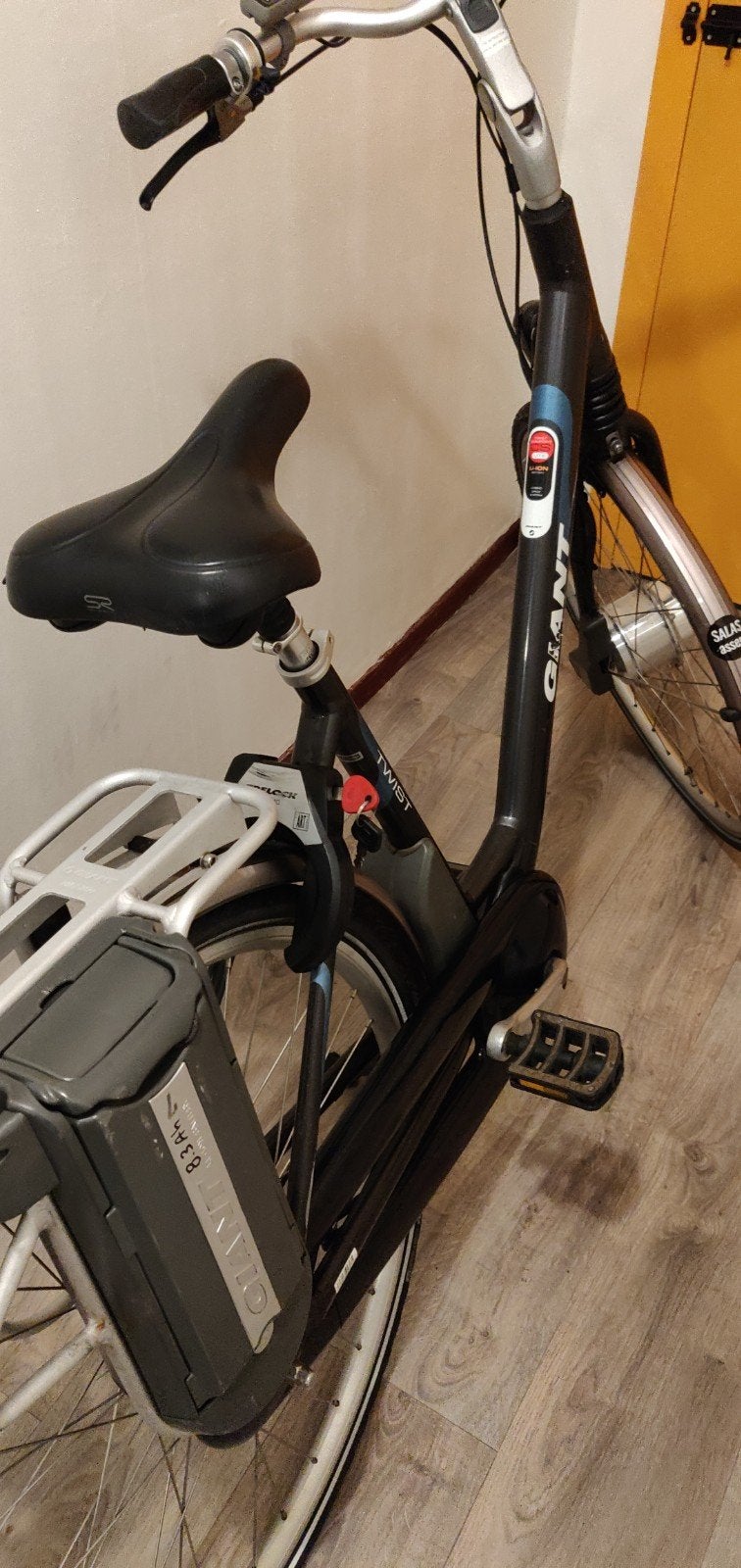 Giant elektrische fiets GOEDE STAAT., Fietsen en Brommers, Fietsonderdelen, Ophalen, Elektrische fiets