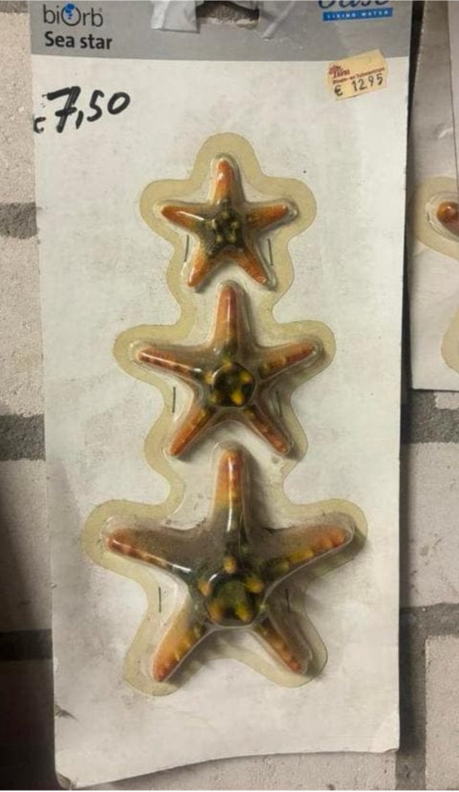 Nieuw: Biorb decoratie seastars! 7,50€, Ophalen of Verzenden, Nieuw, Overige typen, Overige merken