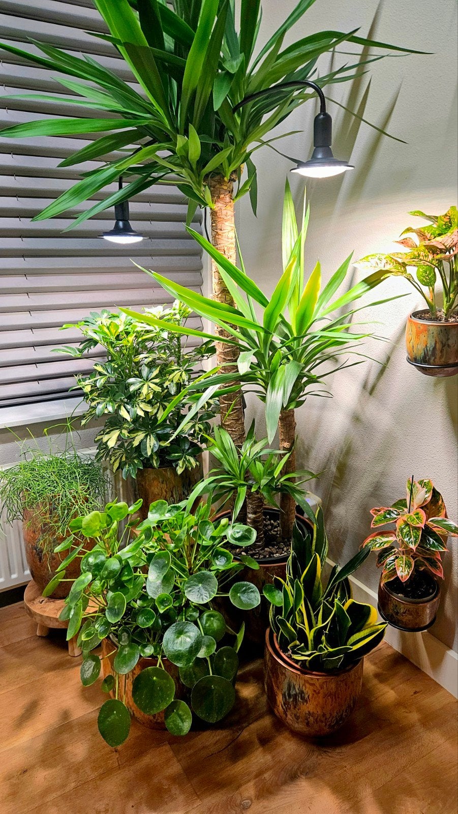 NIEUW: 18W Full Spectrum Led Groeilampen met klemhouder, Huis en Inrichting, Kamerplanten, Groene kamerplant, Ophalen of Verzenden