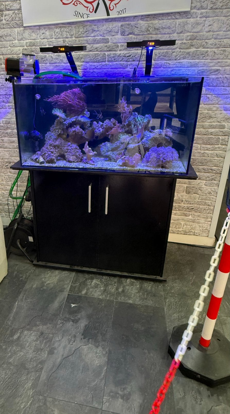 Compleet zeeaquarium te koop Waterbox AIO 50.3, Ophalen, Gevuld zeewateraquarium, Gebruikt, Overige merken