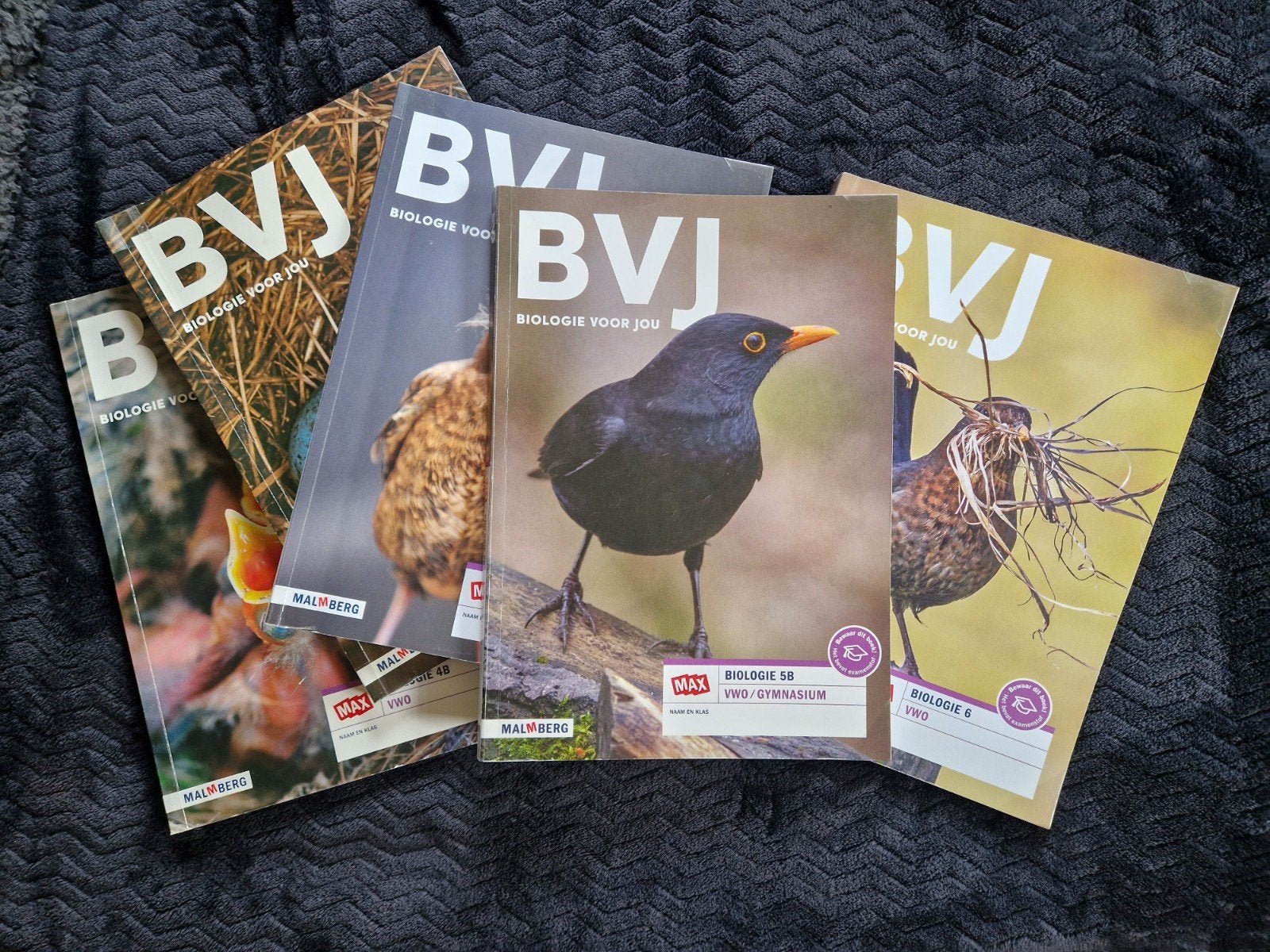 Biologie voor Jou VWO boeken: 4A, 4B, 5A, 5B, 6, Gelezen, VWO, Malmberg, Biologie