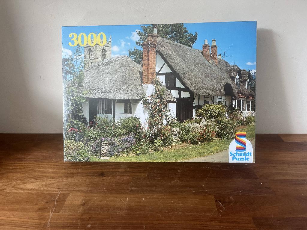 Nieuwe puzzels – 3000 & 1000 stukjes – nog geseald, Ophalen of Verzenden, Meer dan 1500 stukjes, Nieuw, Legpuzzel