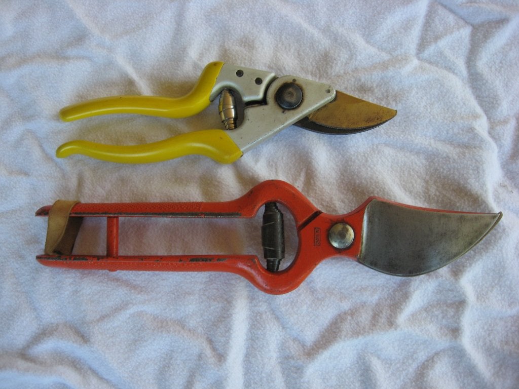 Grote gesmede snoeischaar druivenschaar vlijmscherp, Ophalen of Verzenden, Gebruikt, 20 t/m 29 mm, Altuna