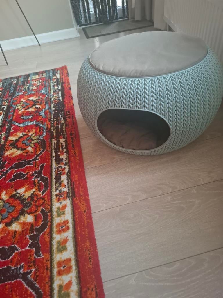 Curver katten mand, Dieren en Toebehoren, Kattenmanden, Ophalen, Gebruikt, Overige