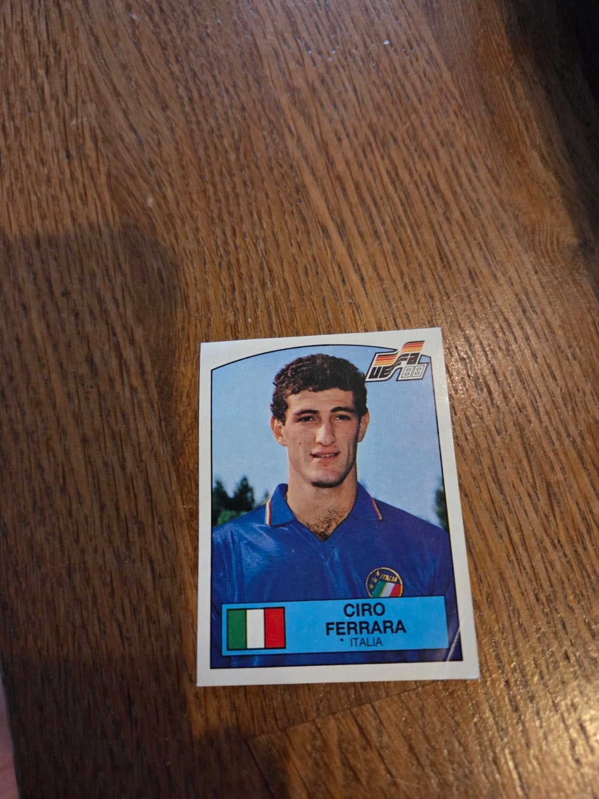 Panini EK 88, Ophalen of Verzenden, Zo goed als nieuw, Sticker