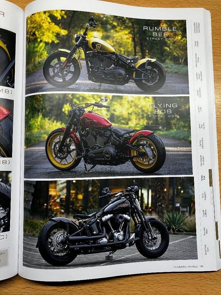 Harley Davidson custombook, Ophalen of Verzenden, Gebruikt