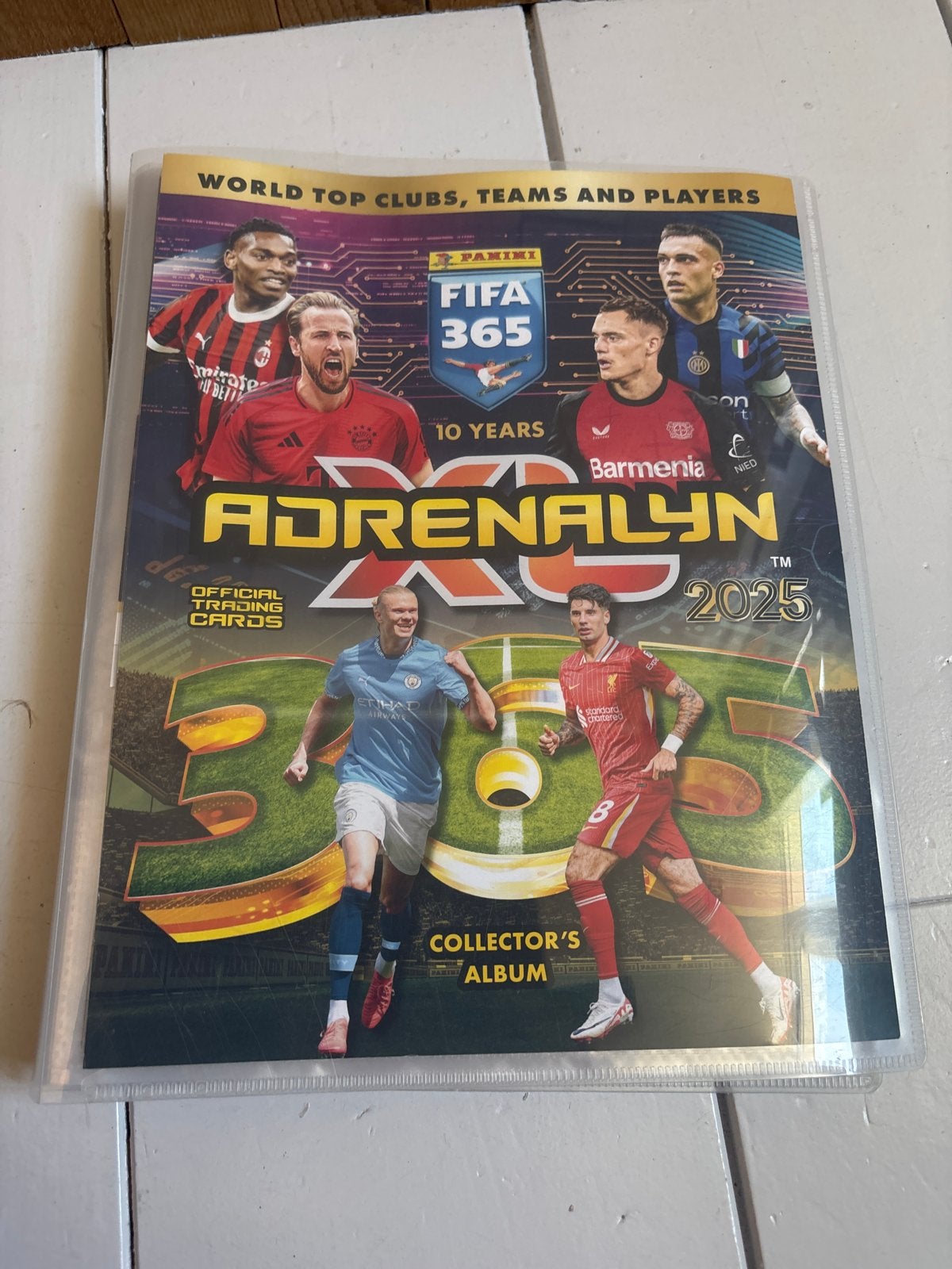 Voetbalboek met zeldzame Panini FIFA 365 Adrenalyn XL plaatj, Verzamelen, Ophalen, Zo goed als nieuw, Buitenlandse clubs, Boek of Tijdschrift