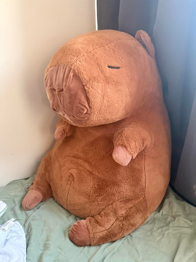 Large capybara, Kinderen en Baby's, Speelgoed | Knuffels en Pluche, Ophalen, Gebruikt, Overige typen, Groot (groter dan 80 cm)