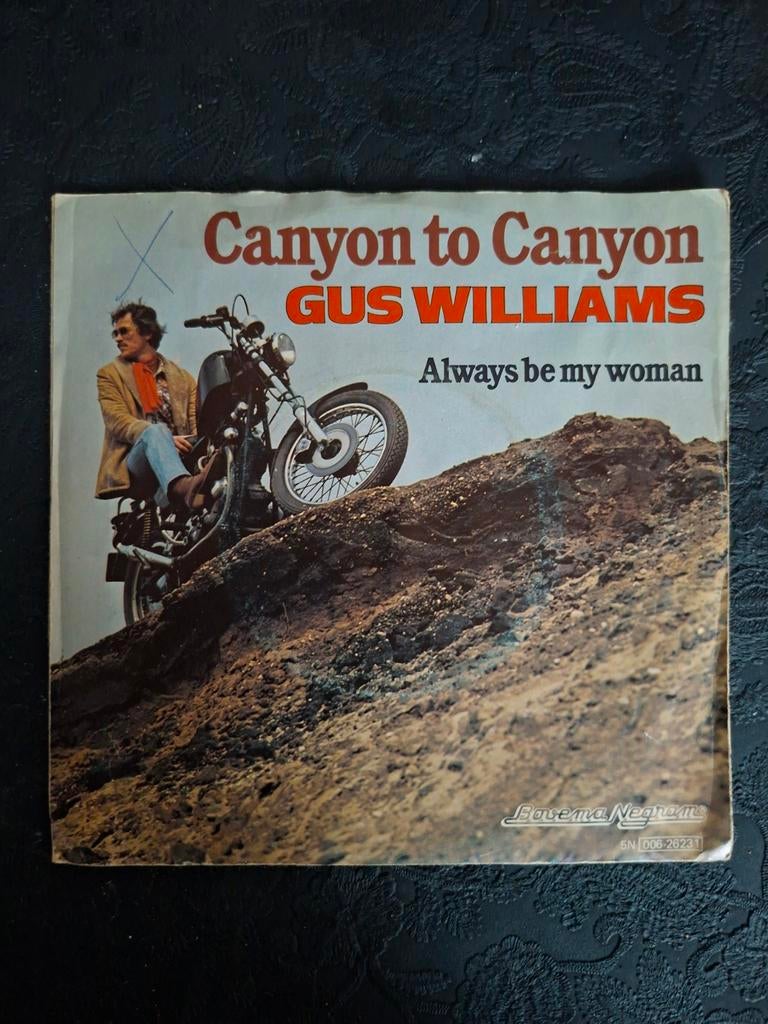 Gus Williams - Canyon to Canyon, Ophalen of Verzenden, Zo goed als nieuw