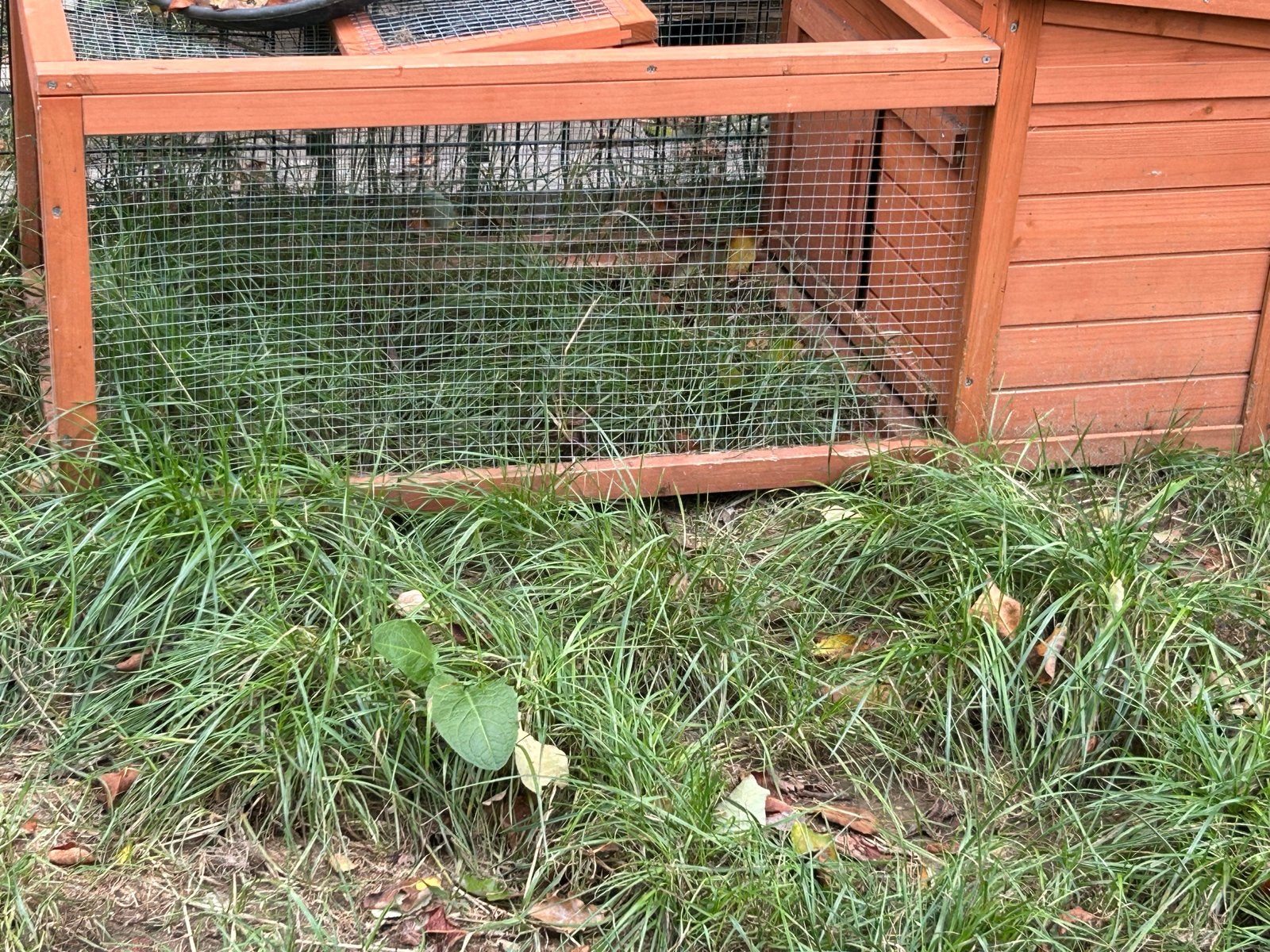 Ren met achuilhok, Dieren en Toebehoren, Ophalen, Overige typen