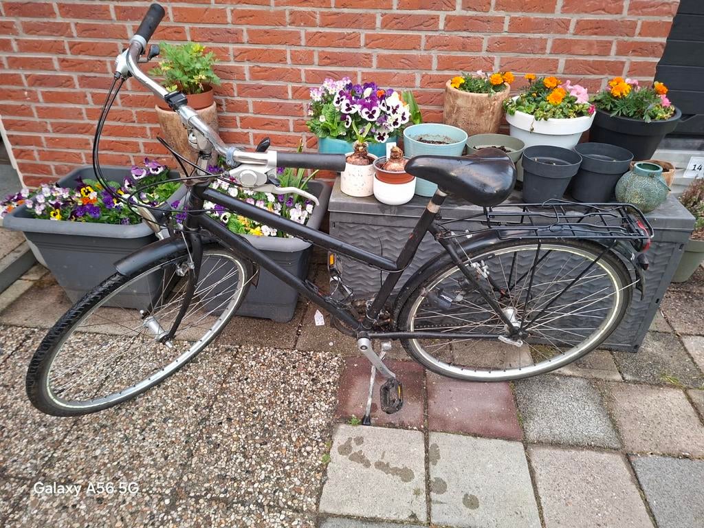 Dames fiets Framemaat 58 cm, Gebruikt, Versnellingen, 56 cm of meer, Ophalen