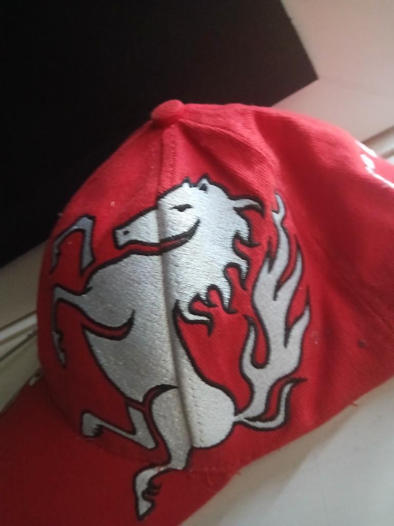 Fc twente pet (gedragen), Twente, Pet, Gedragen, One size fits all