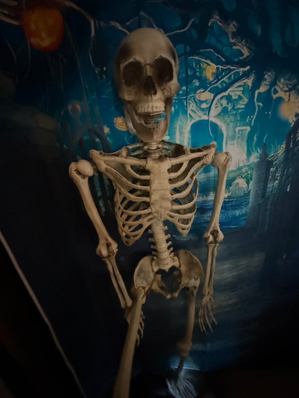 Halloween, Ophalen of Verzenden, Halloween of Griezel