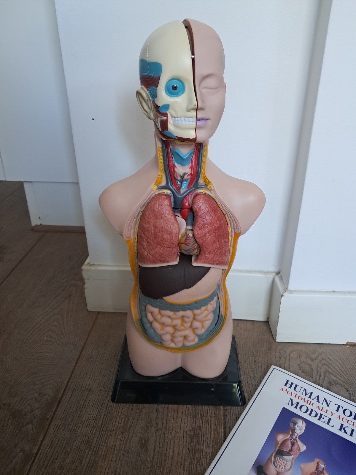 Torso met handleiding, Ophalen of Verzenden, Zo goed als nieuw