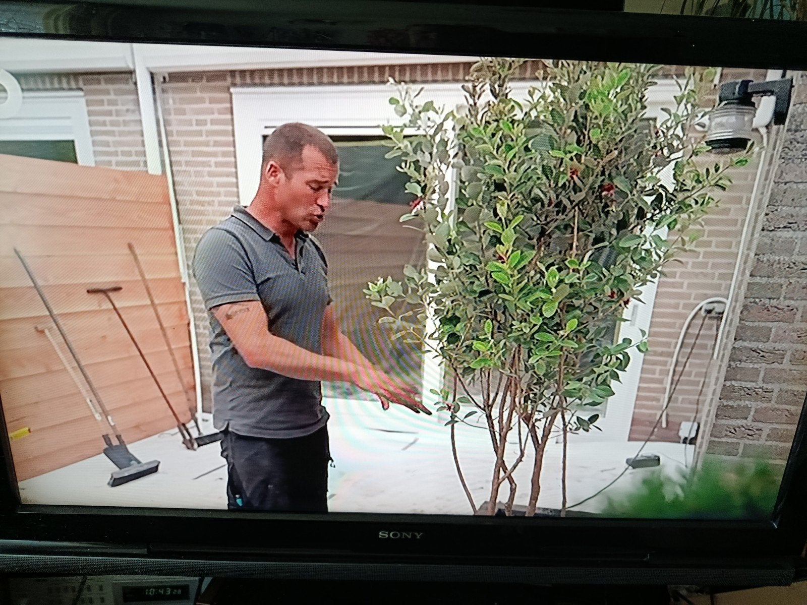 diverse tv vanaf 15 euro, Ophalen, Gebruikt, 50 Hz, Panasonic