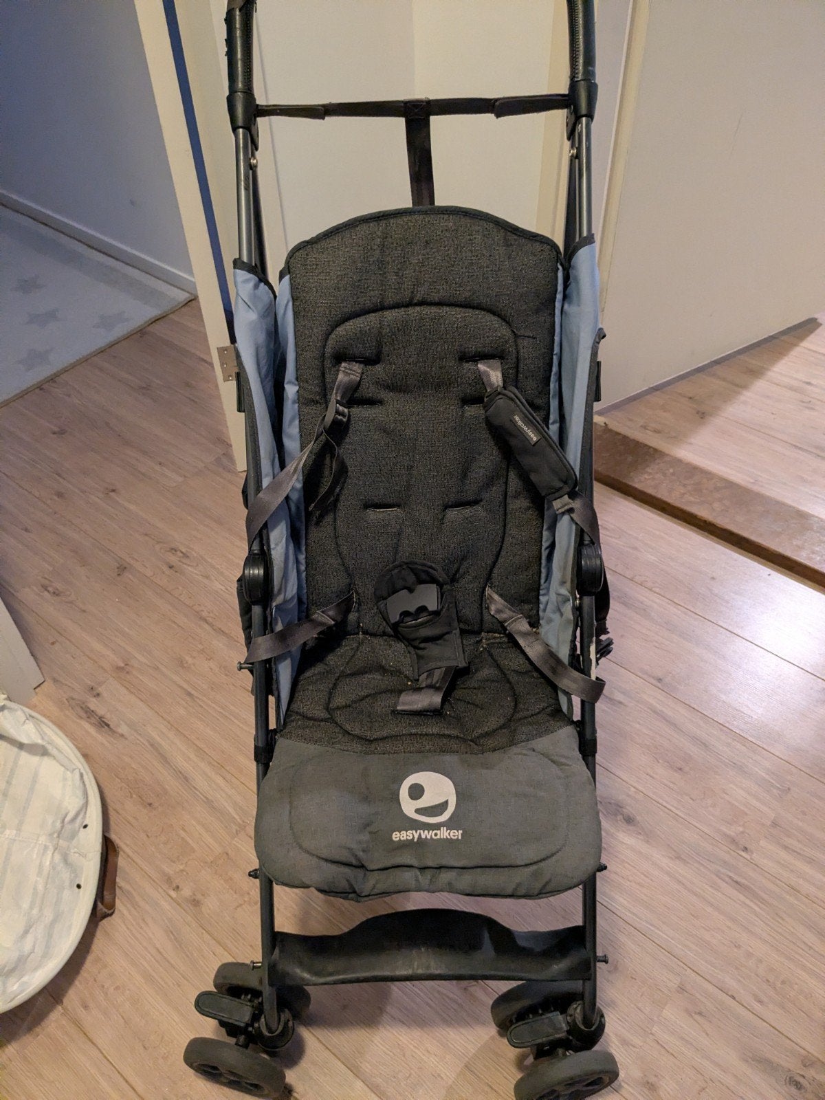 Easywalker Buggy, Kinderen en Baby's, Kinderwagens en Combinaties, Ophalen, Gebruikt, Overige merken