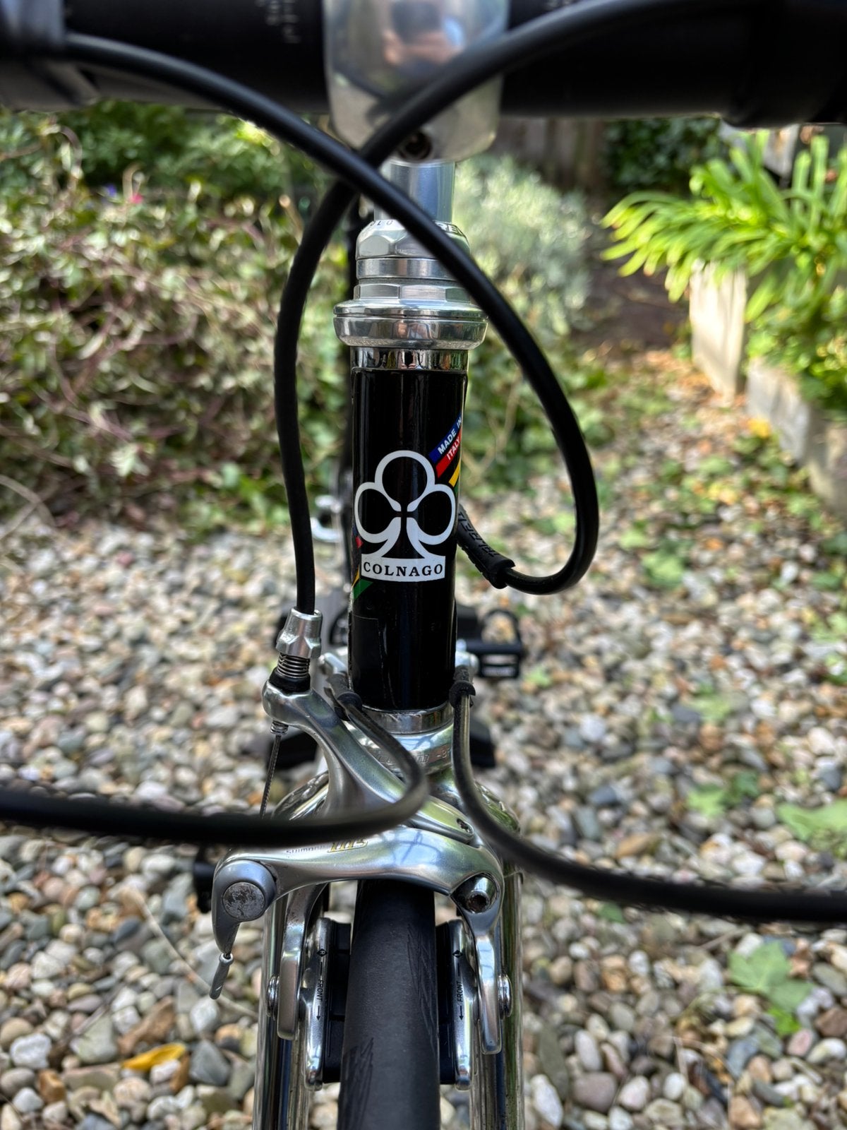 Foto 5 van Colnago Master Olympic 54cm - Art Decor - Topstaat