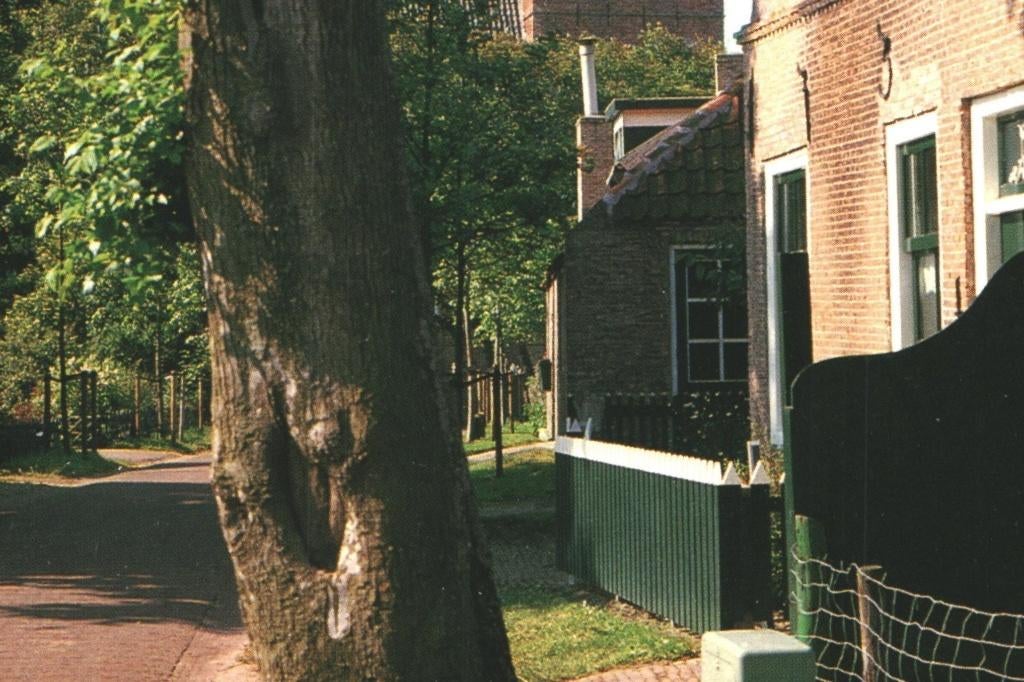988038 Ameland 80+ Waddeneilanden zegel Cartoon Network, Ophalen of Verzenden, 1980 tot heden, Gelopen, Waddeneilanden