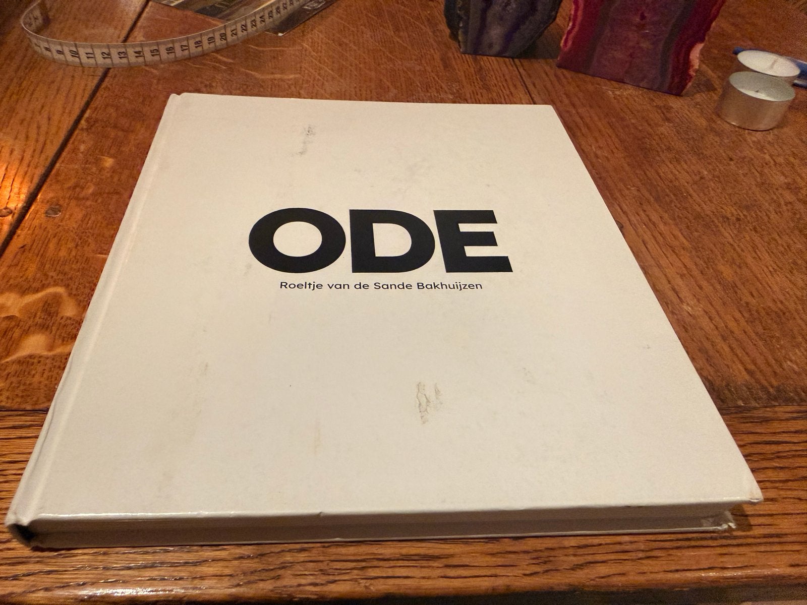 ODE - Roeltje van de Sande Bakhuyzen - Fotoboek, Ophalen of Verzenden, Gelezen, Nederland