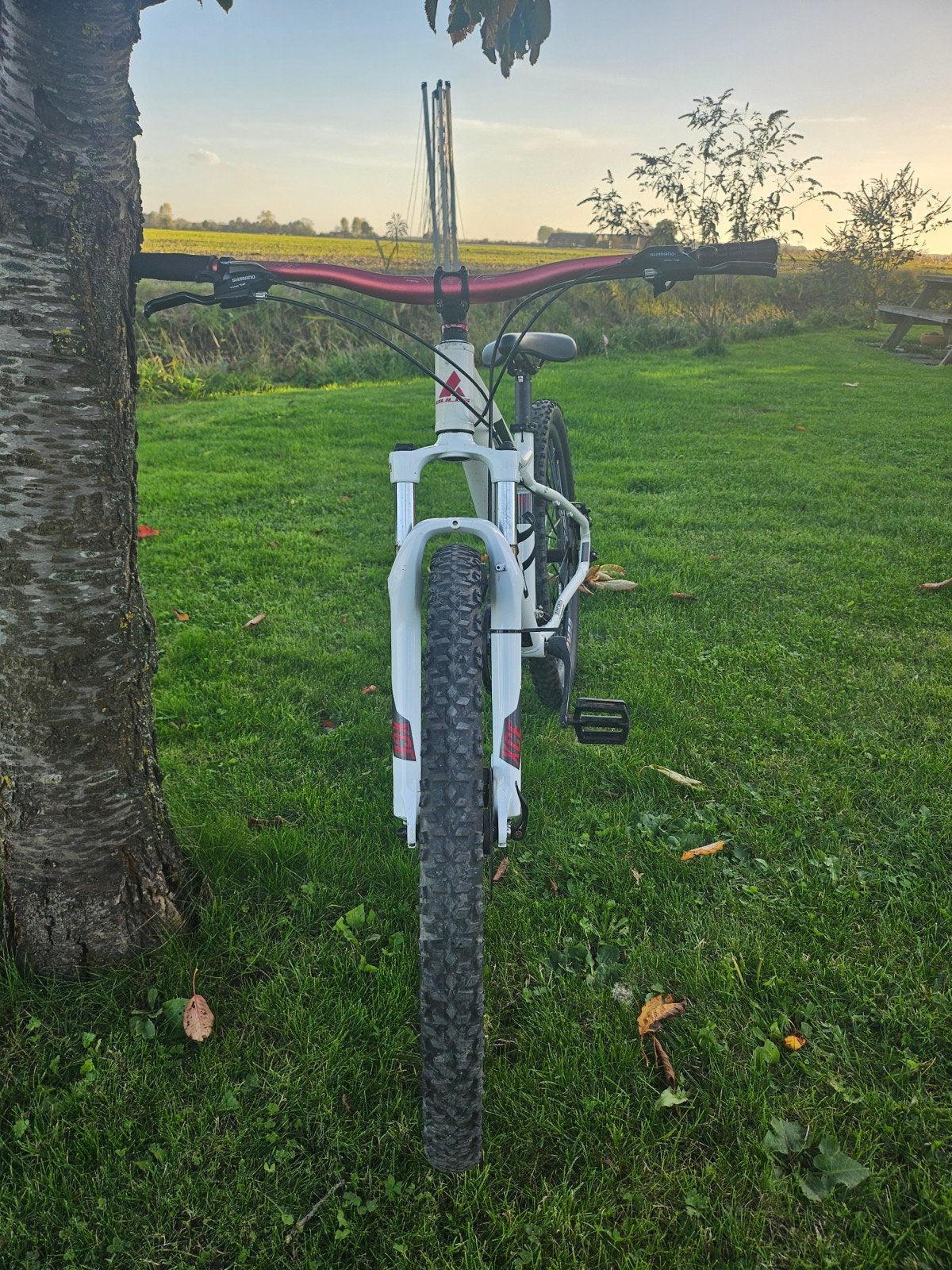 Bulls mountainbike, Ophalen, Gebruikt, Schijfrem, Overige merken