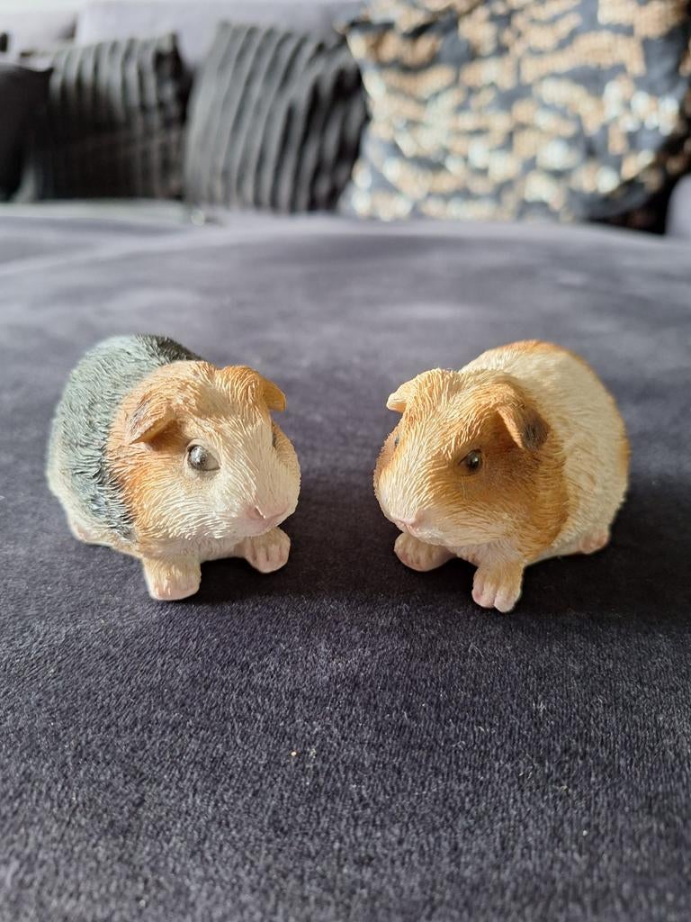 Cavia beeldjes, Ophalen, Zo goed als nieuw